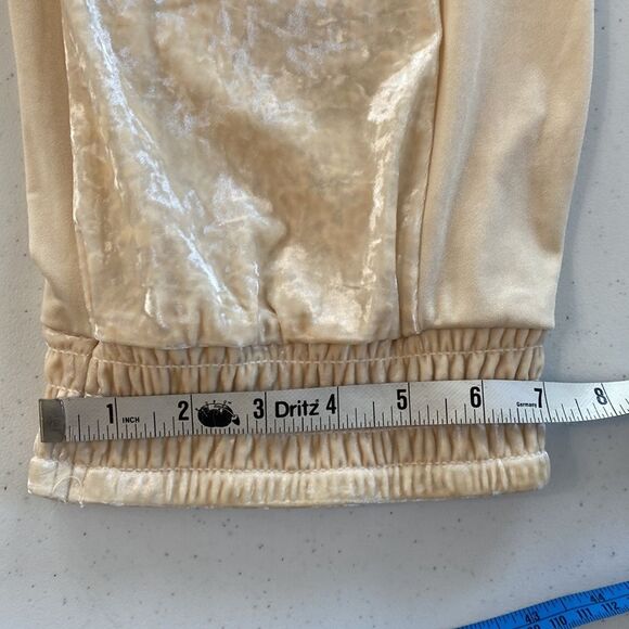 We Are HAH 1 Track Mind Crushed Velvet Jogger Pant in Almond Milk Slouchy - Picture 13 of 16